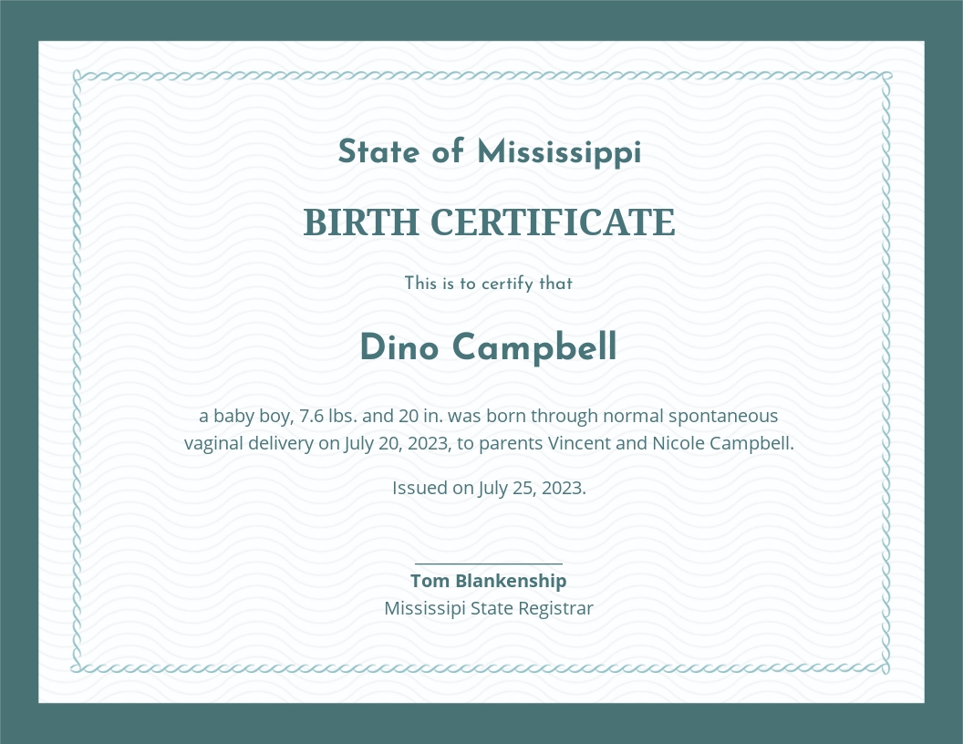 Basic Birth Certificate Template - Google Docs, Illustrator, Word