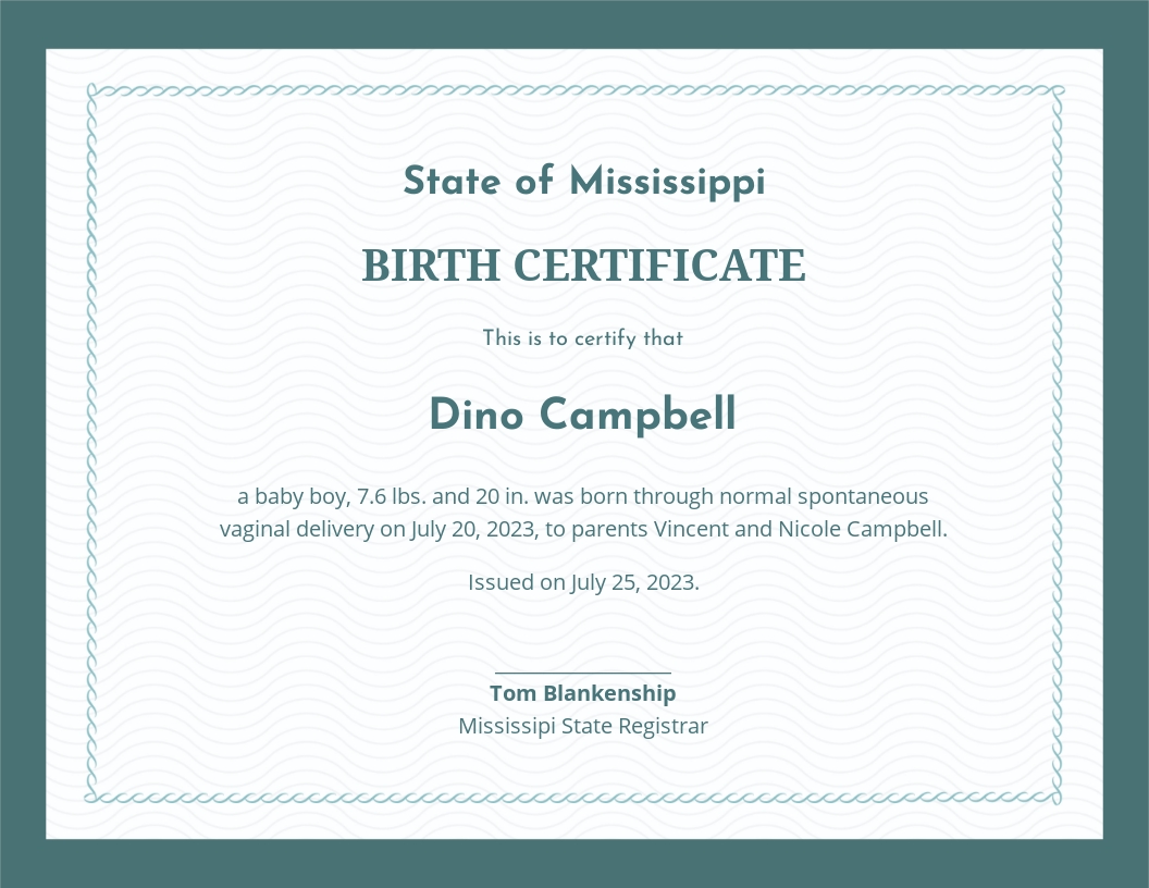 Basic Birth Certificate Template - Google Docs, Illustrator, Word, Apple Pages, PSD, Publisher