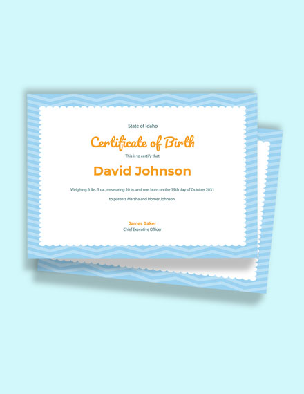 Boy Birth Certificate Template - Google Docs, Illustrator, Word, Apple Pages, PSD, Publisher