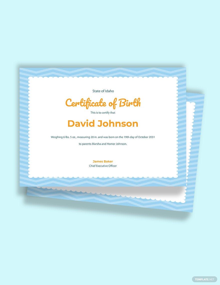 Boy Birth Certificate Template
