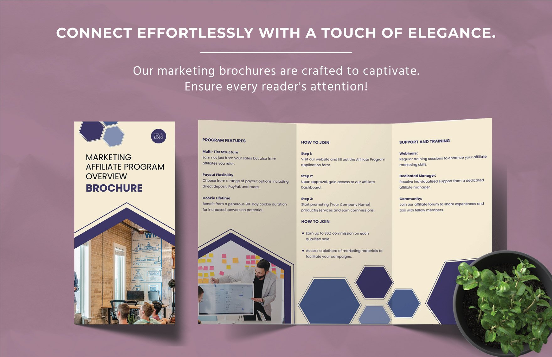 Marketing Affiliate Program Overview Brochure Template