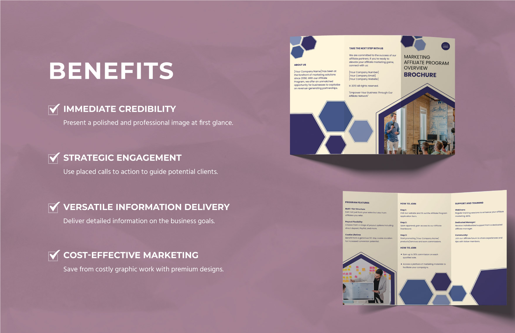Marketing Affiliate Program Overview Brochure Template