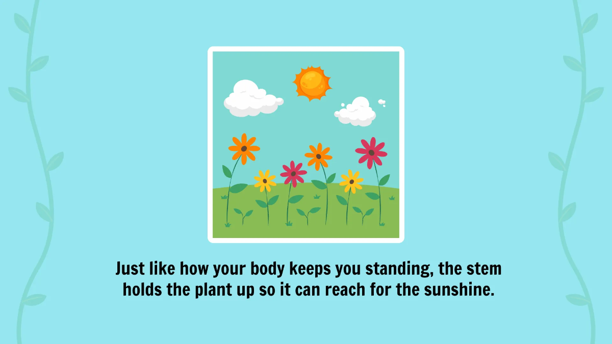 Free The Basic Parts of A Plant Template to Edit Online