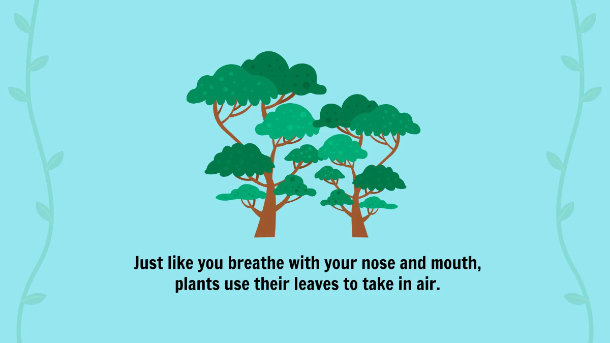 Free The Basic Parts of A Plant Template to Edit Online