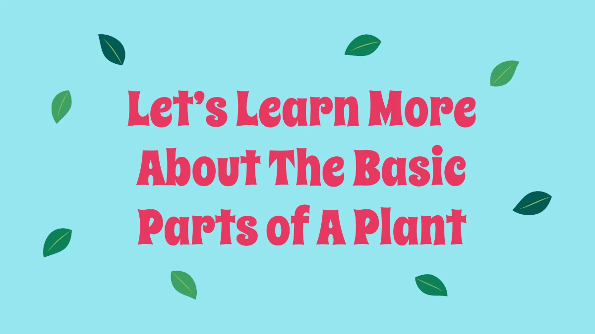 Free The Basic Parts of A Plant Template to Edit Online