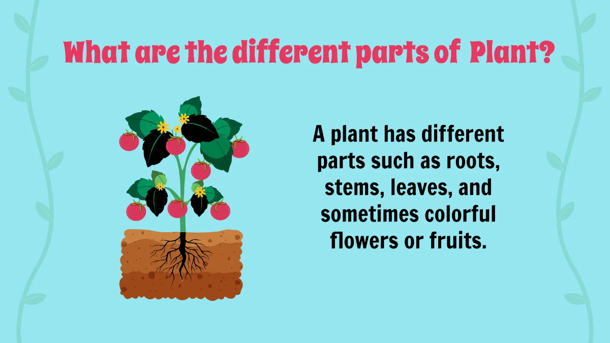 Free The Basic Parts of A Plant Template to Edit Online