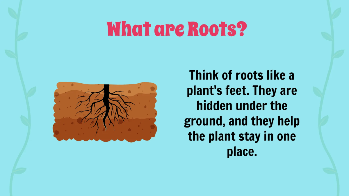 Free The Basic Parts of A Plant Template to Edit Online