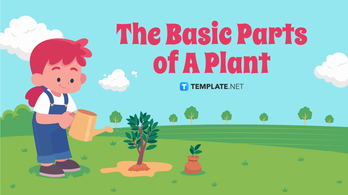 The Basic Parts of A Plant