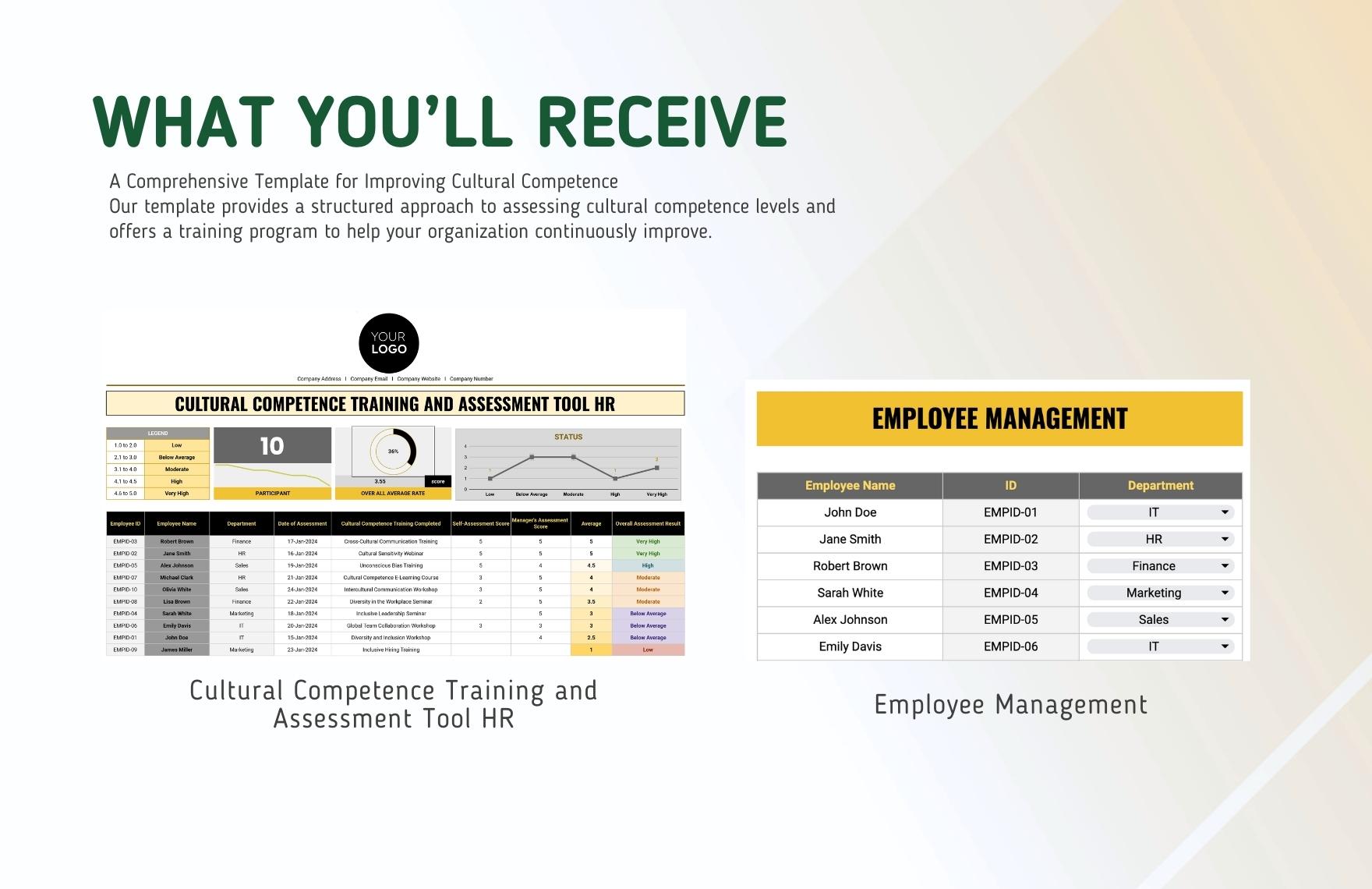 Cultural Competence Training and Assessment Tool HR Template in Excel ...