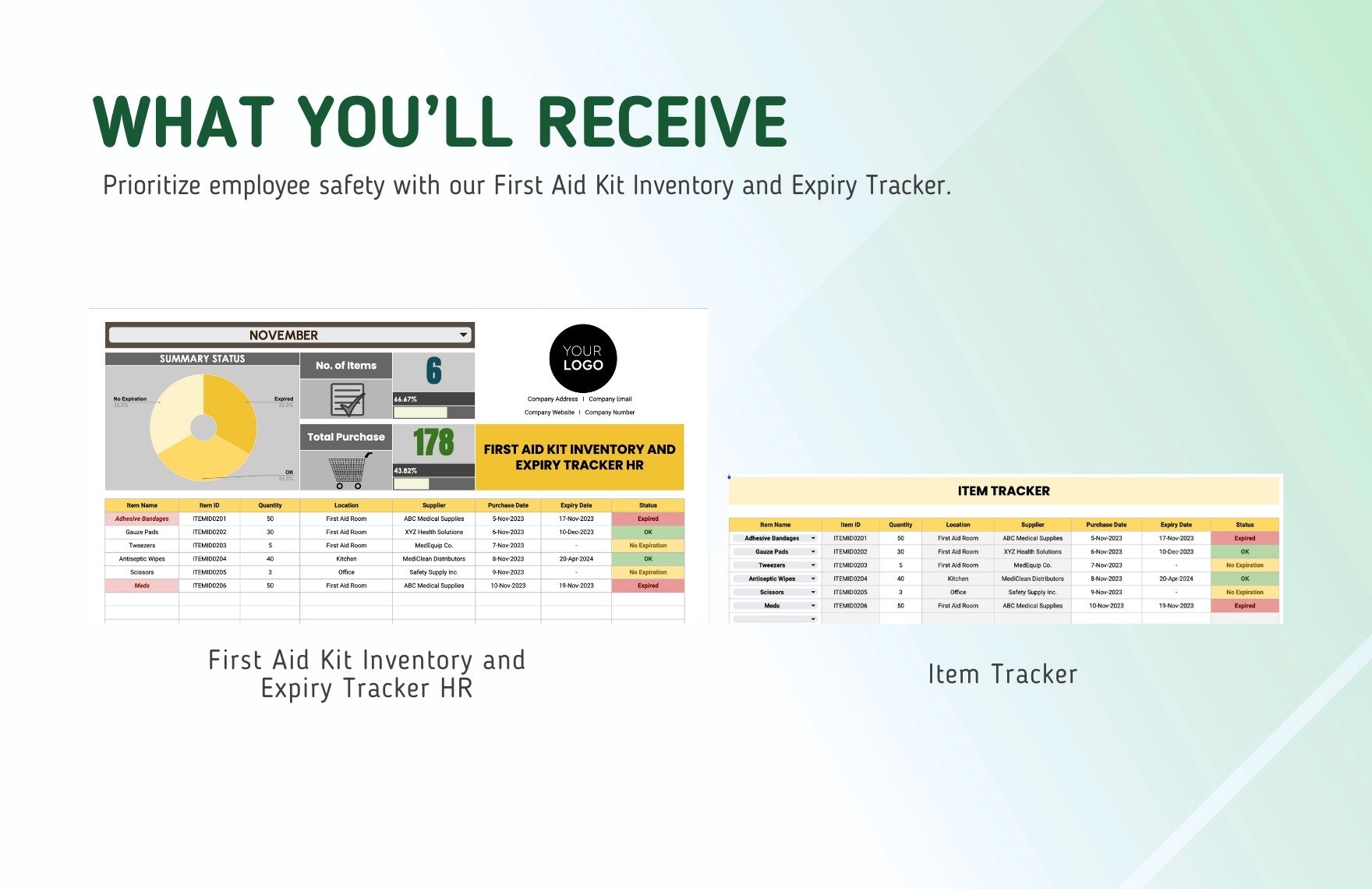 First Aid Kit Inventory and Expiry Tracker HR Template