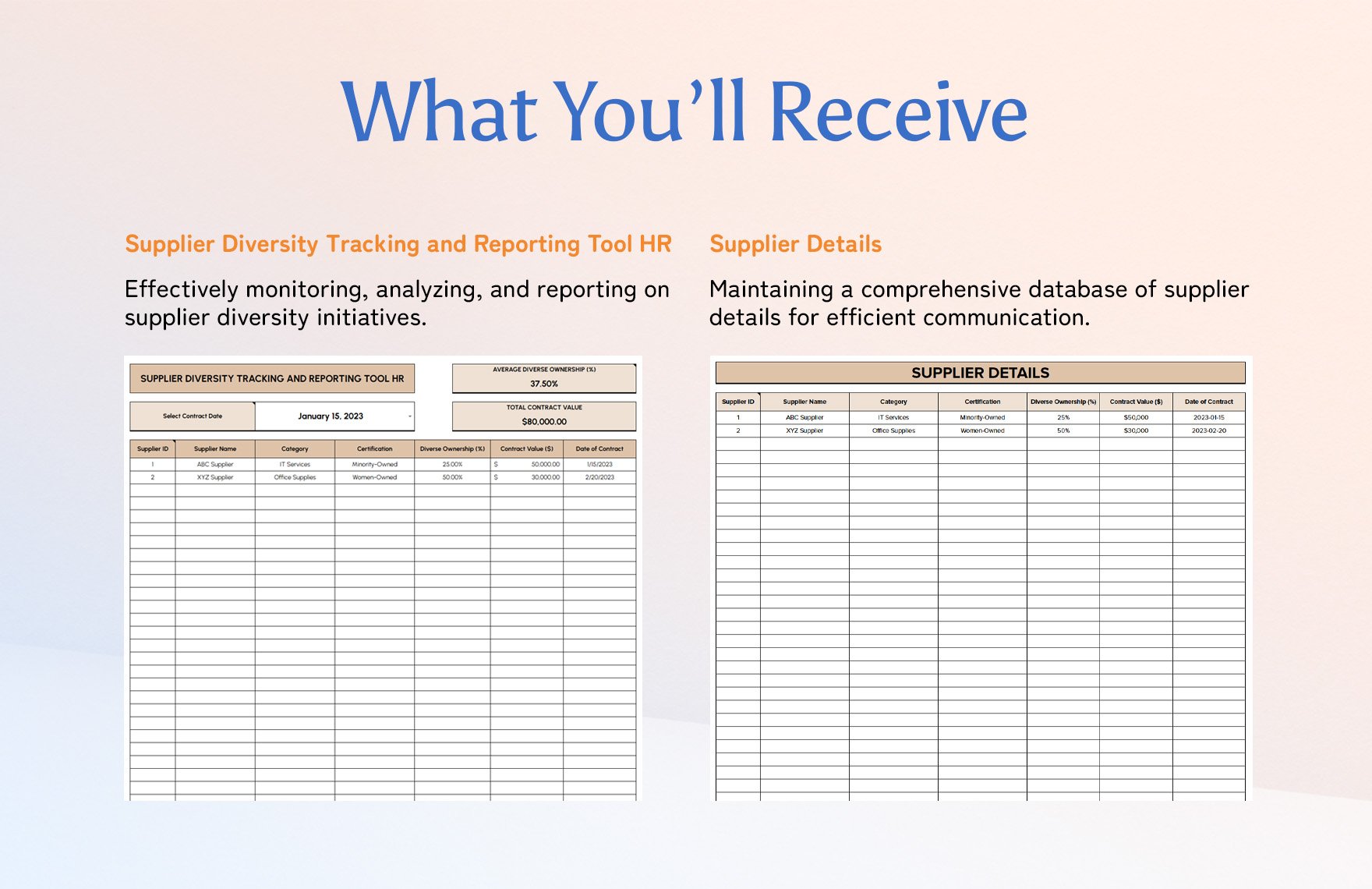 Supplier Diversity Tracking and Reporting Tool HR Template