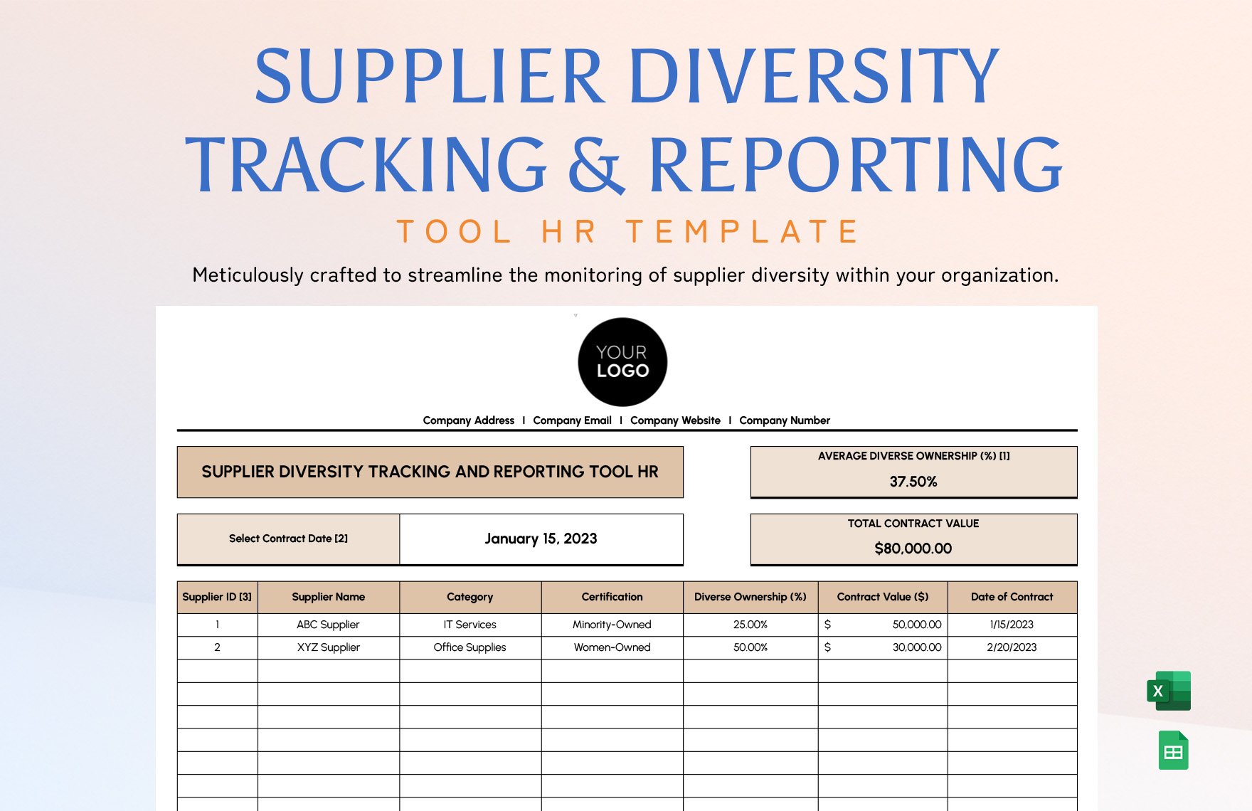 Supplier Diversity Tracking and Reporting Tool HR Template