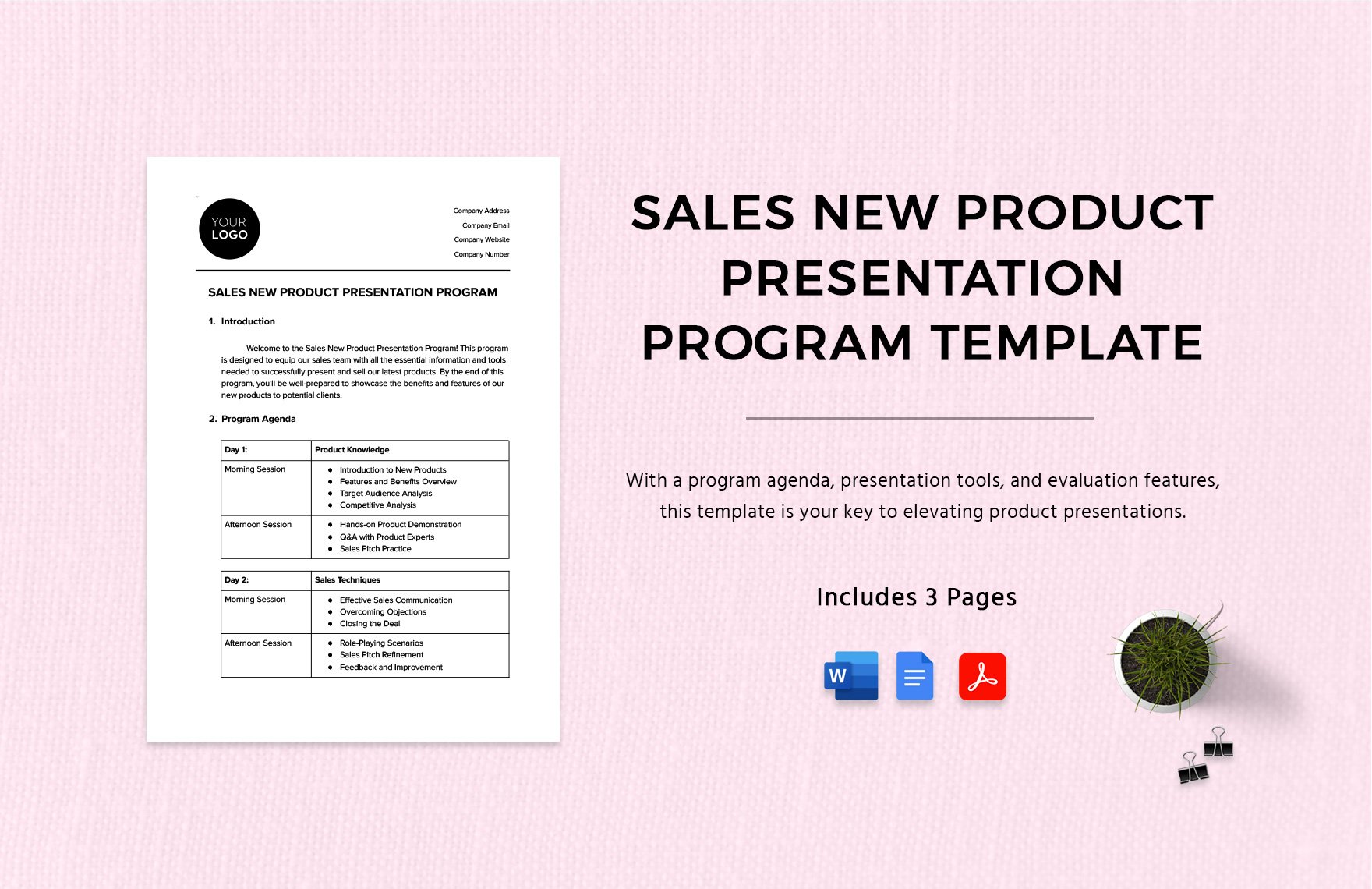 Sales New Product Presentation Program Template in Word, Google Docs, PDF