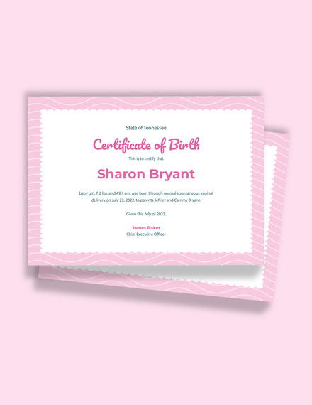 Girl Birth Certificate Template - Illustrator, Word, Apple Pages, PSD, Publisher