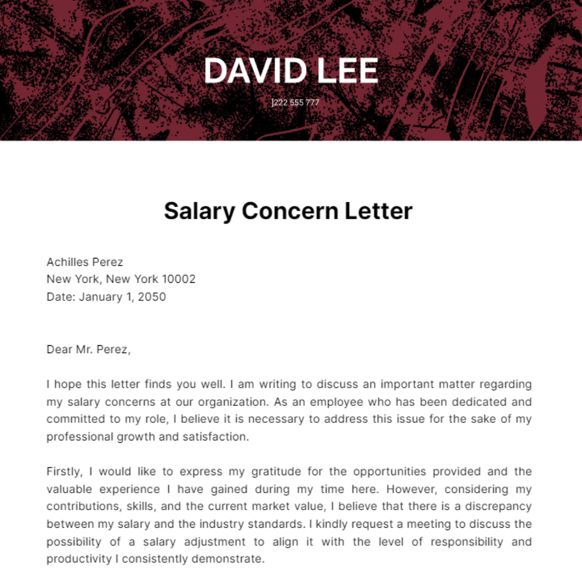 Free Salary Concern Letter Template