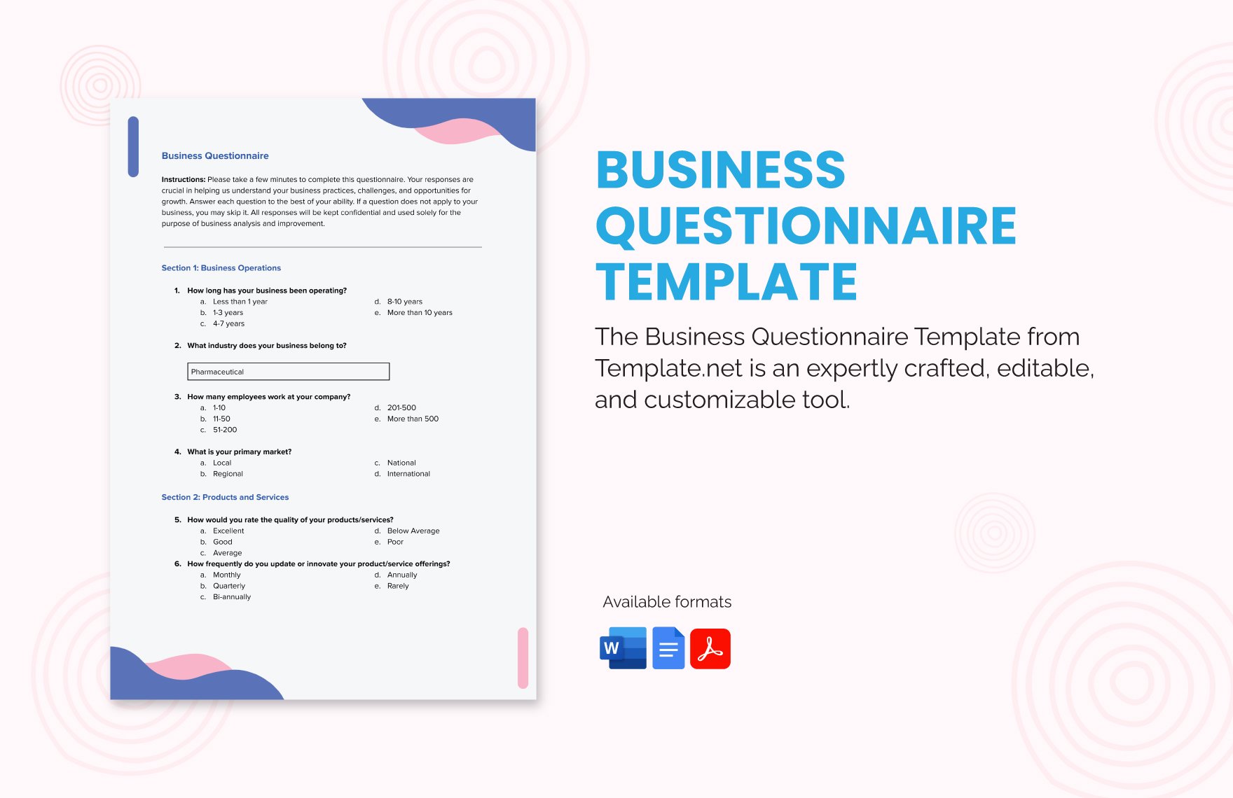 Free Business Questionnaire Template in Word, Google Docs, PDF