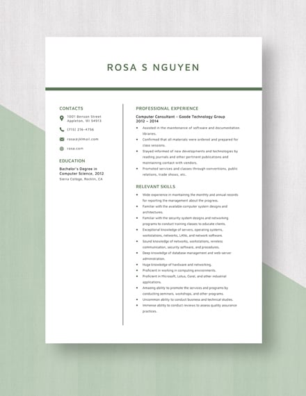 Computer Consultant Resume Template
