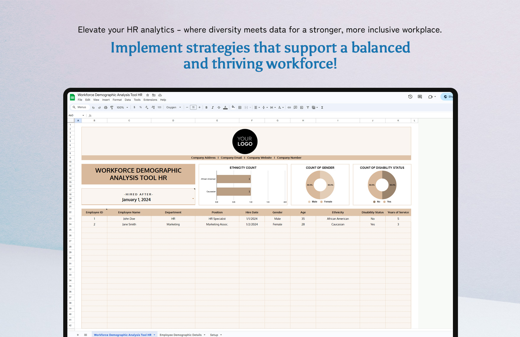 Workforce Demographic Analysis Tool HR Template in Excel, Google Sheets ...