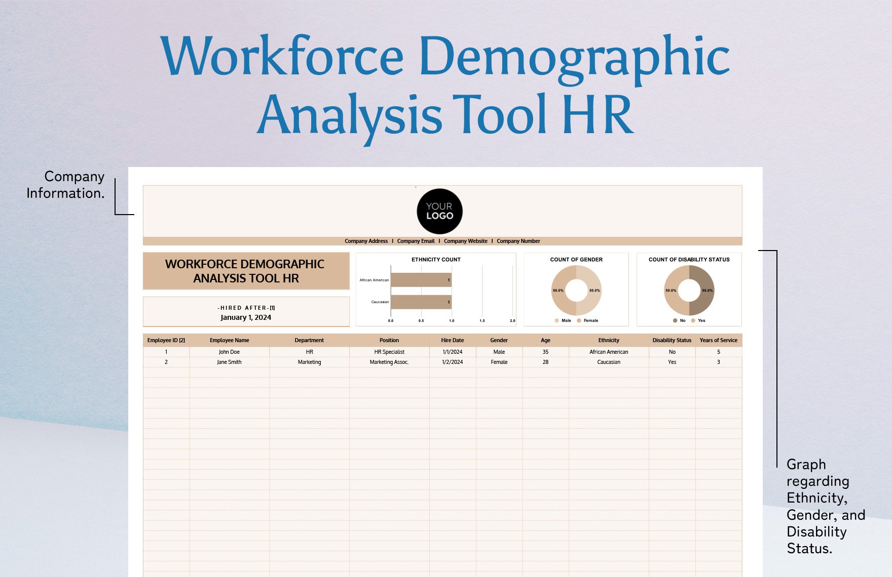 Workforce Demographic Analysis Tool HR Template