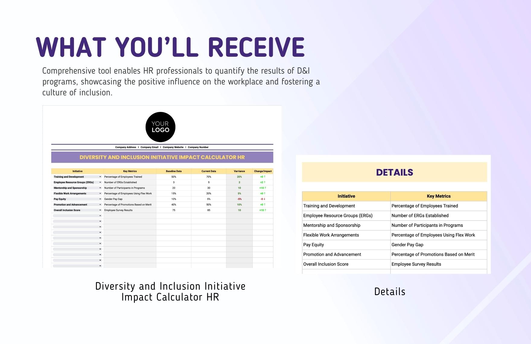 Diversity and Inclusion Initiative Impact Calculator HR Template