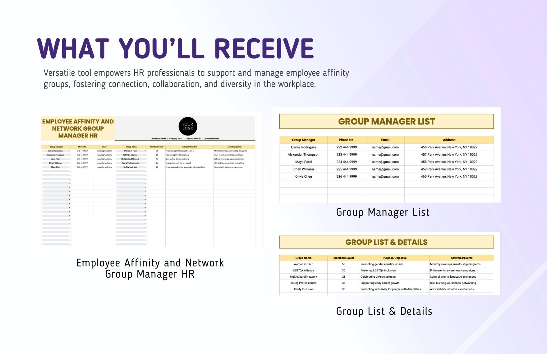 Employee Affinity and Network Group Manager HR Template
