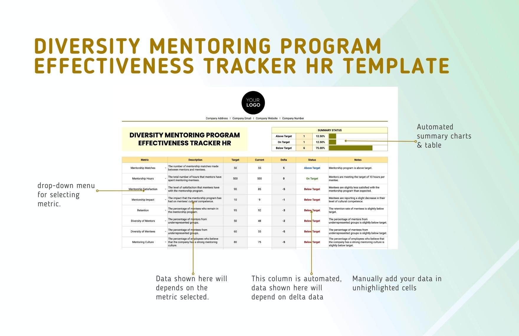 Diversity Mentoring Program Effectiveness Tracker HR Template