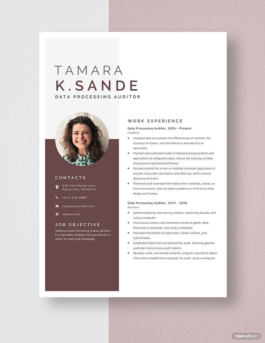 Free Data Processing Auditor Resume Template
