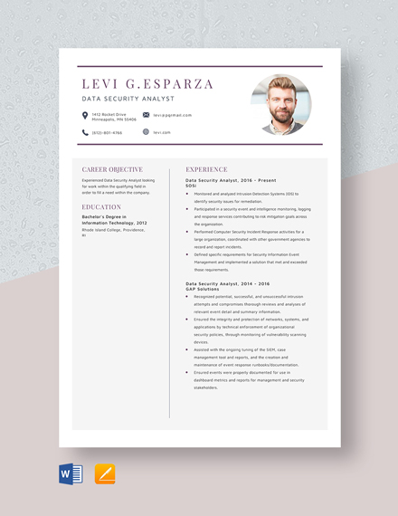 FREE Data Analyst Resume Template - Data Security Analyst Resume 