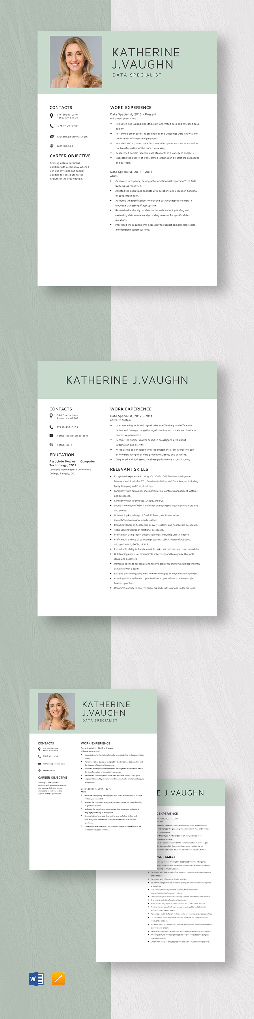 Data Specialist Resume Template Template