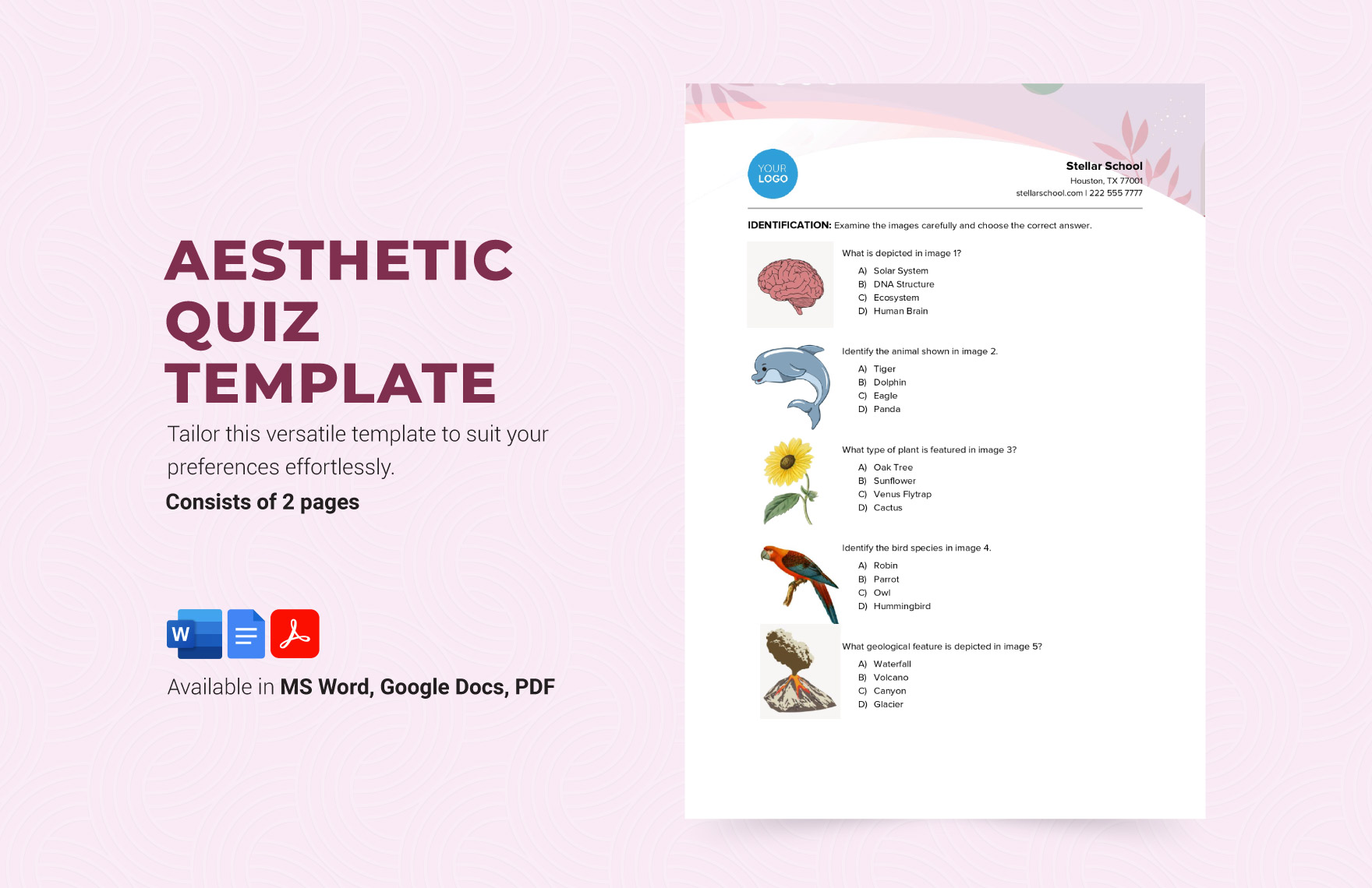 Aesthetic Quiz Template in Word, PDF, Google Docs - Download | Template.net