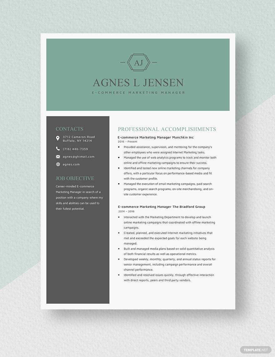 free-ecommerce-marketing-manager-resume-download-in-word-apple-pages