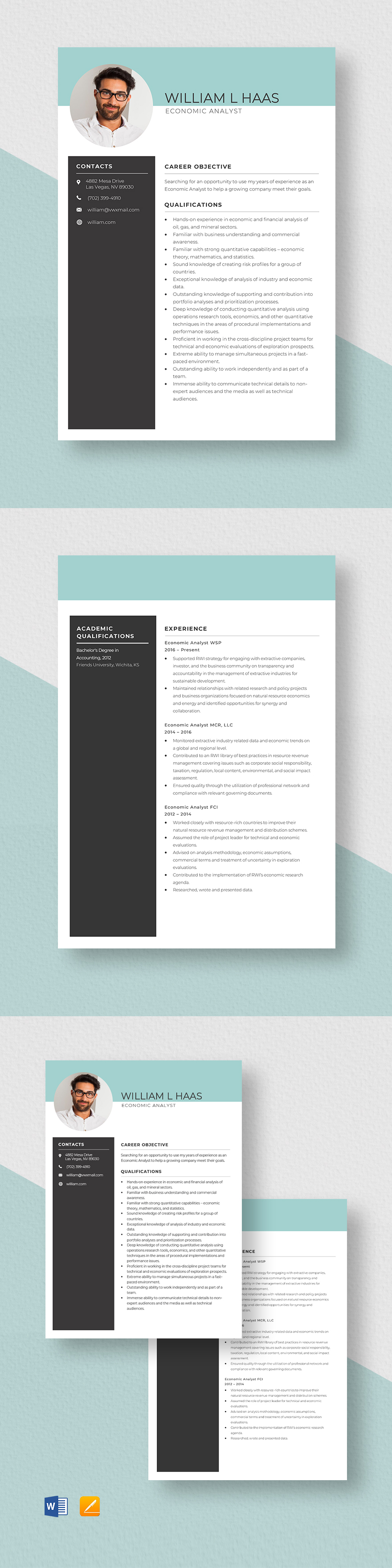 Free Economic Analyst Resume Template Word Apple Pages Template net