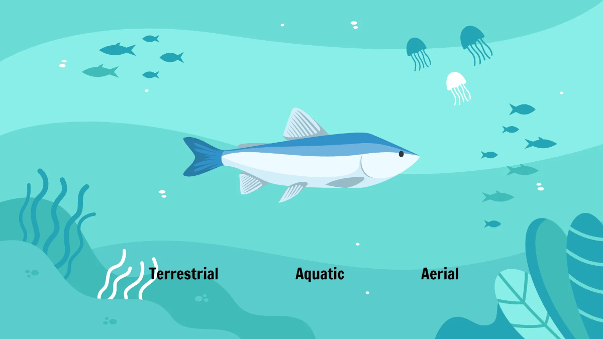 Free Different Animals and Their Habitats Template to Edit Online