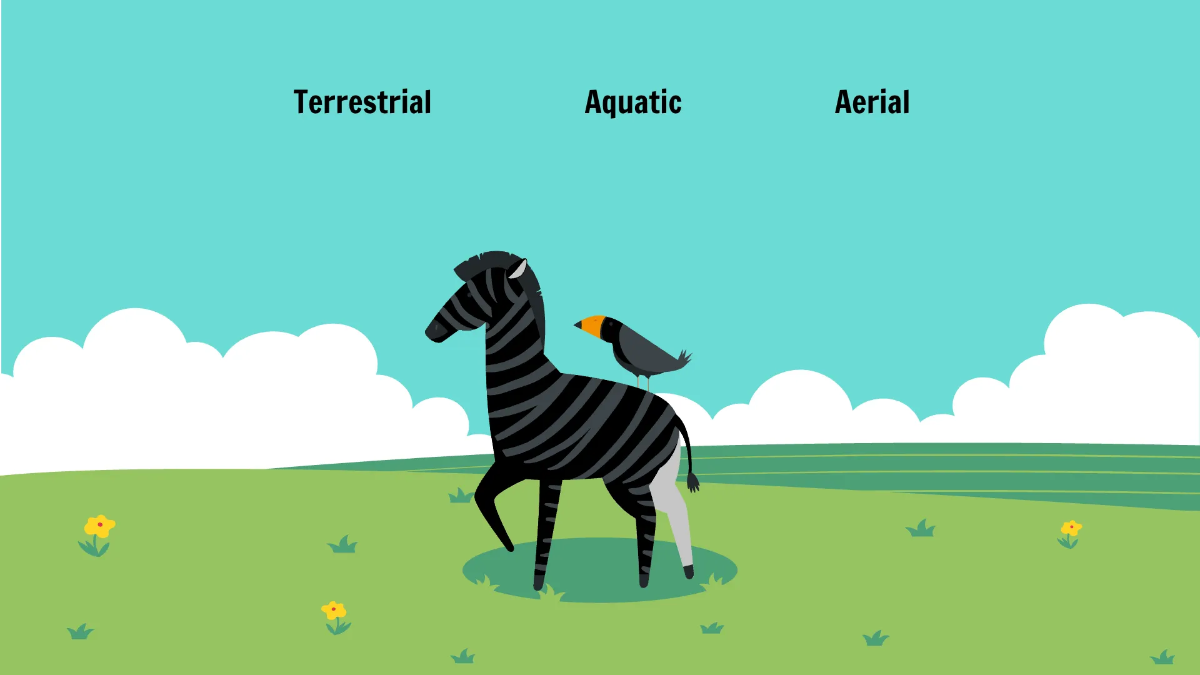 Free Different Animals and Their Habitats Template to Edit Online