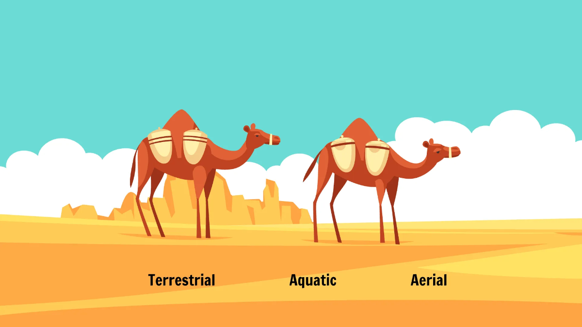 Free Different Animals and Their Habitats Template to Edit Online