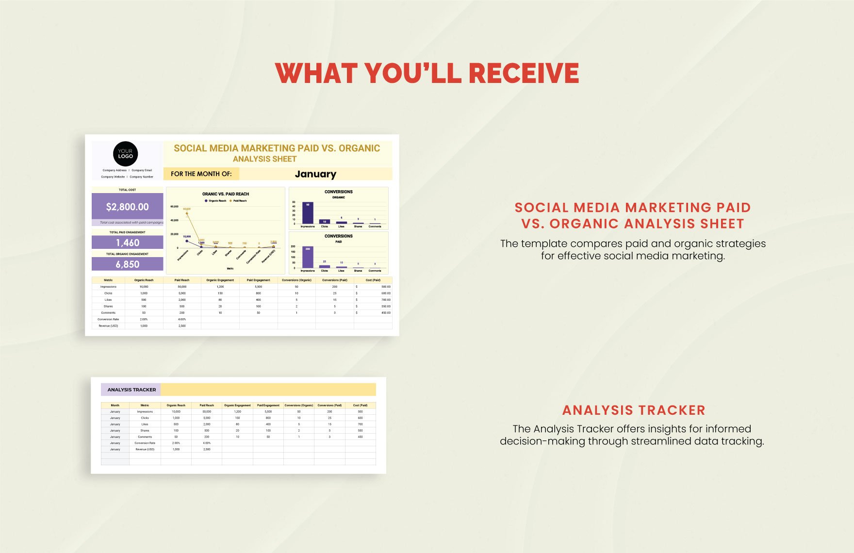 Social Media Marketing Paid vs. Organic Analysis Sheet Template