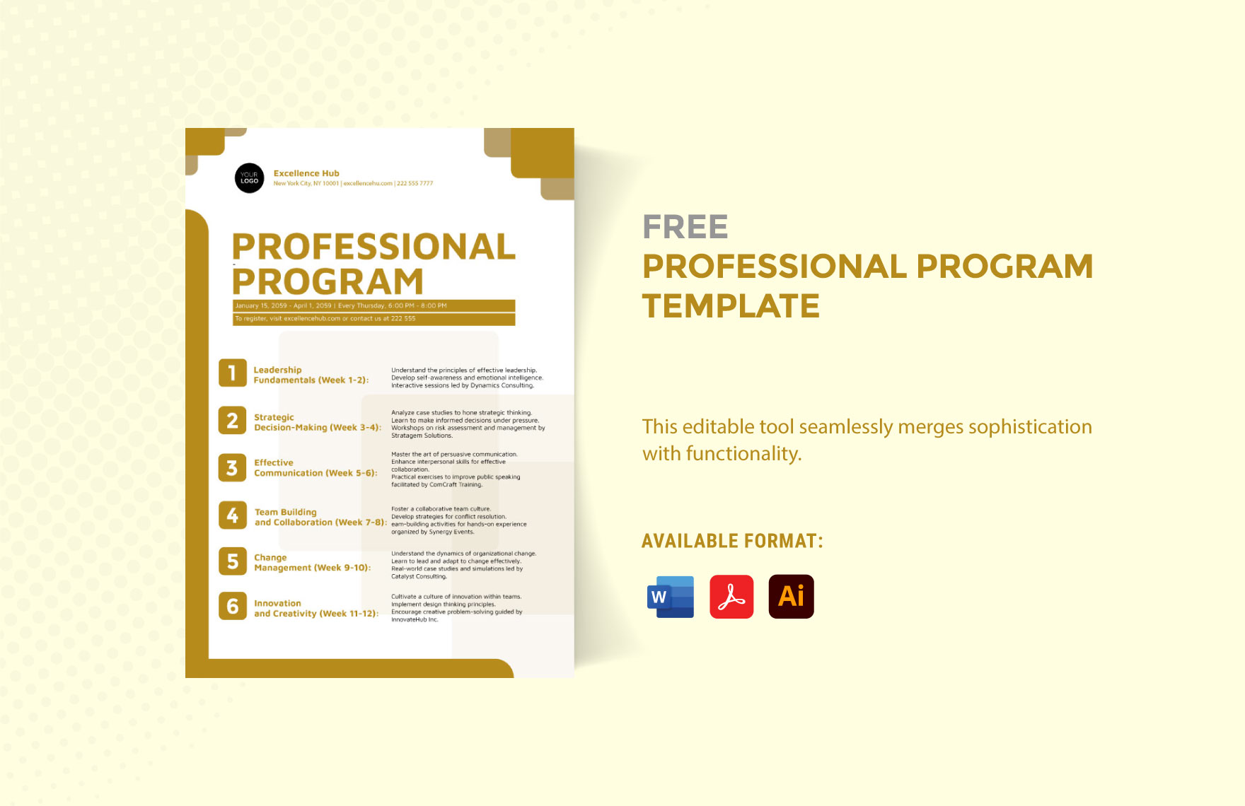 Free Professional Program Template