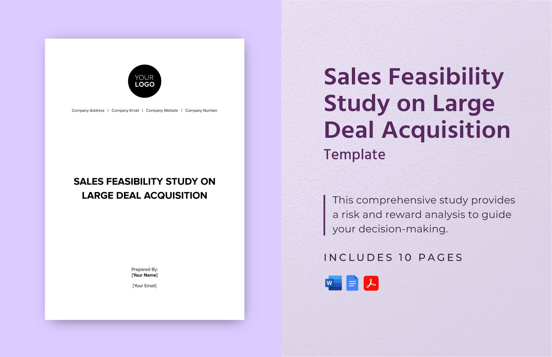 Sales Feasibility Study on Large Deal Acquisition Template in Word, Google Docs, PDF