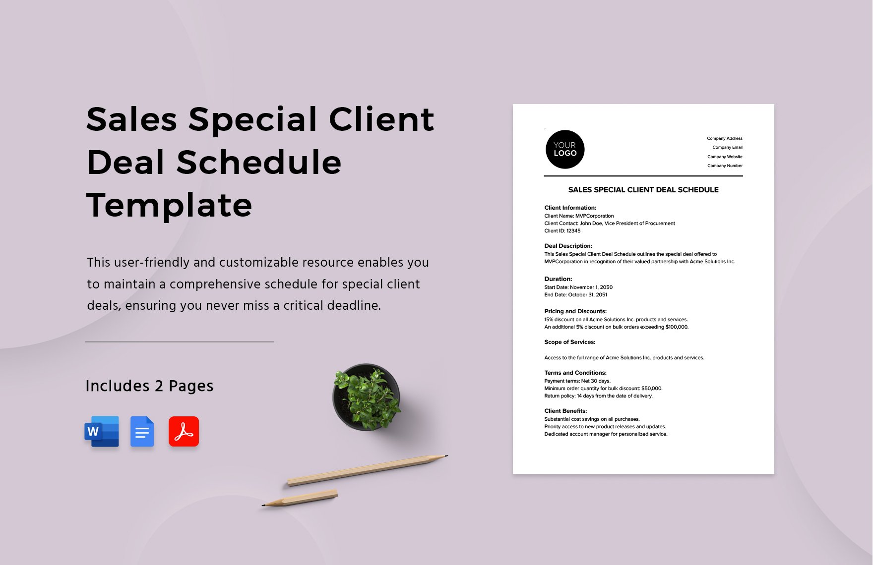 Sales Special Client Deal Schedule Template in Word, Google Docs, PDF