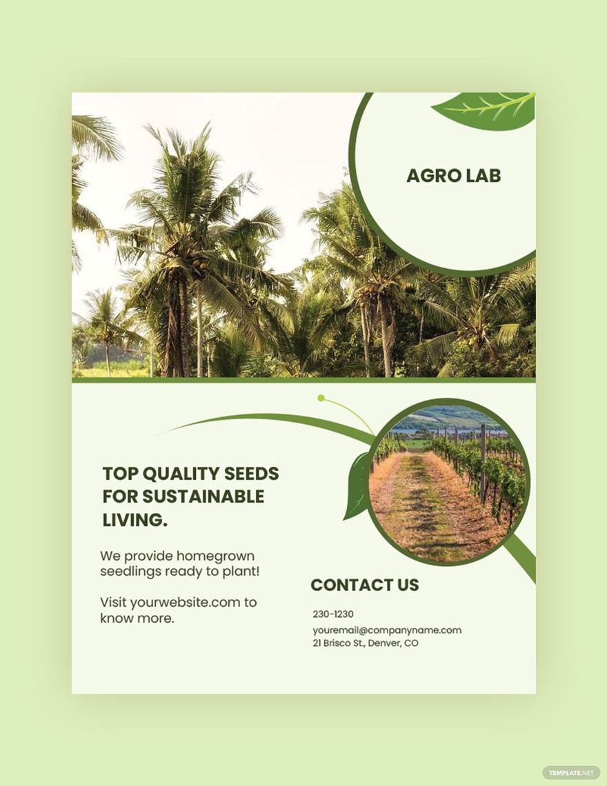 Sample Agriculture Flyer Template in Word, Google Docs, Illustrator, PSD, Apple Pages, Publisher