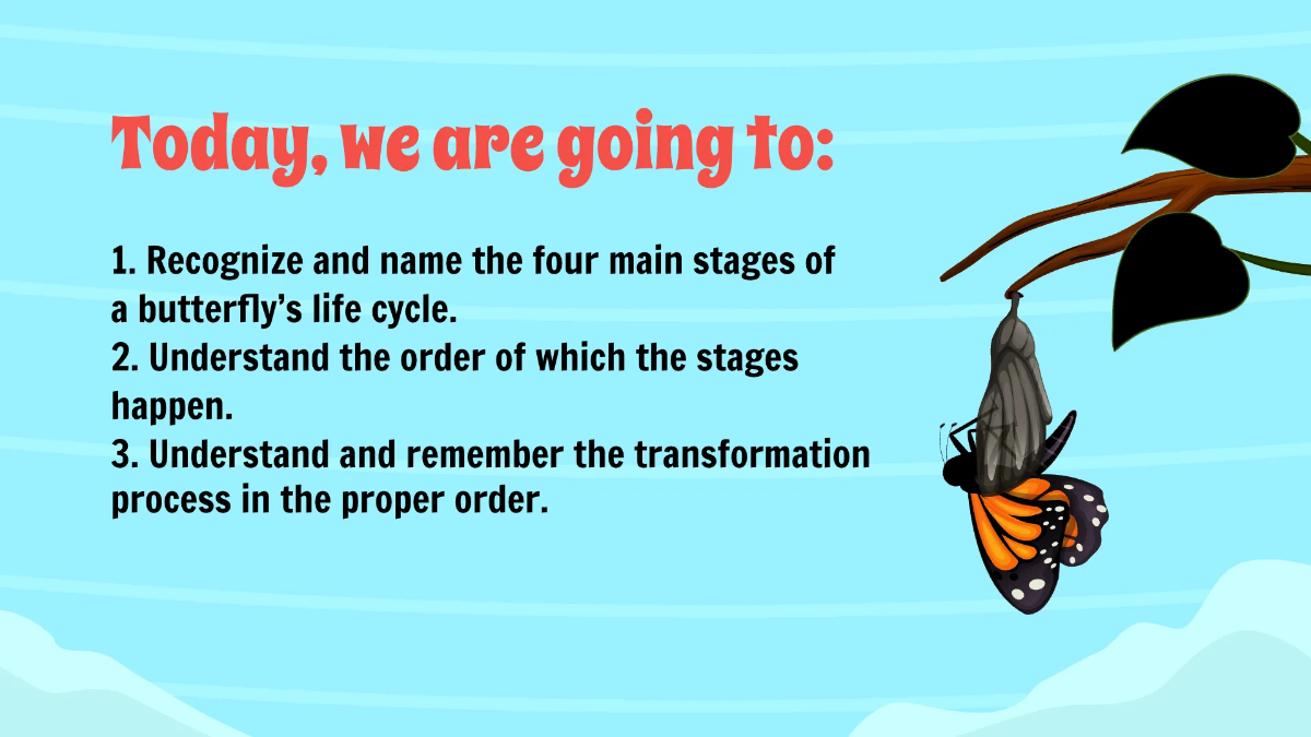 Free Life Cycle of A Butterfly Template to Edit Online