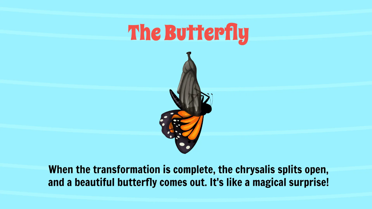 Free Life Cycle of A Butterfly Template to Edit Online