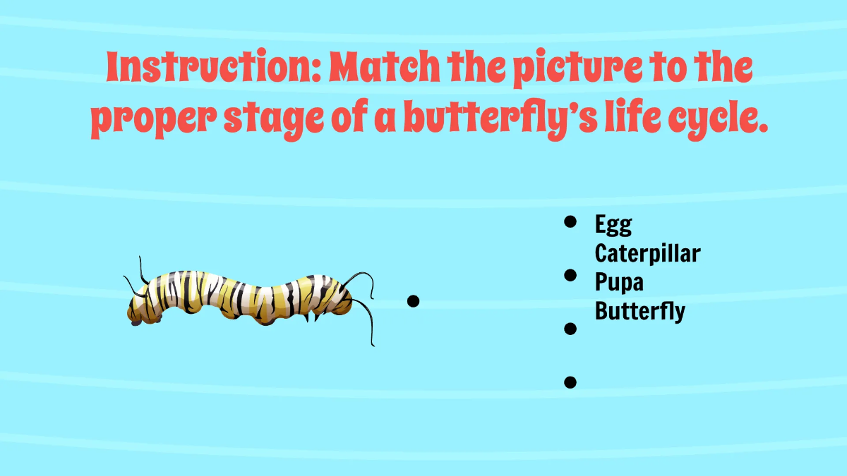 Free Life Cycle of A Butterfly Template to Edit Online