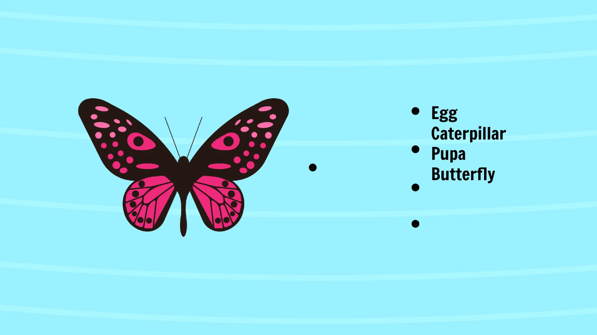 Free Life Cycle of A Butterfly Template to Edit Online