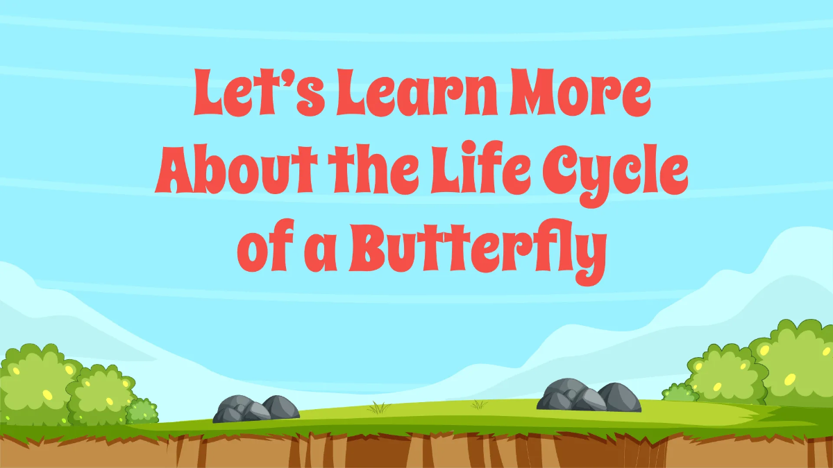 Free Life Cycle of A Butterfly Template to Edit Online