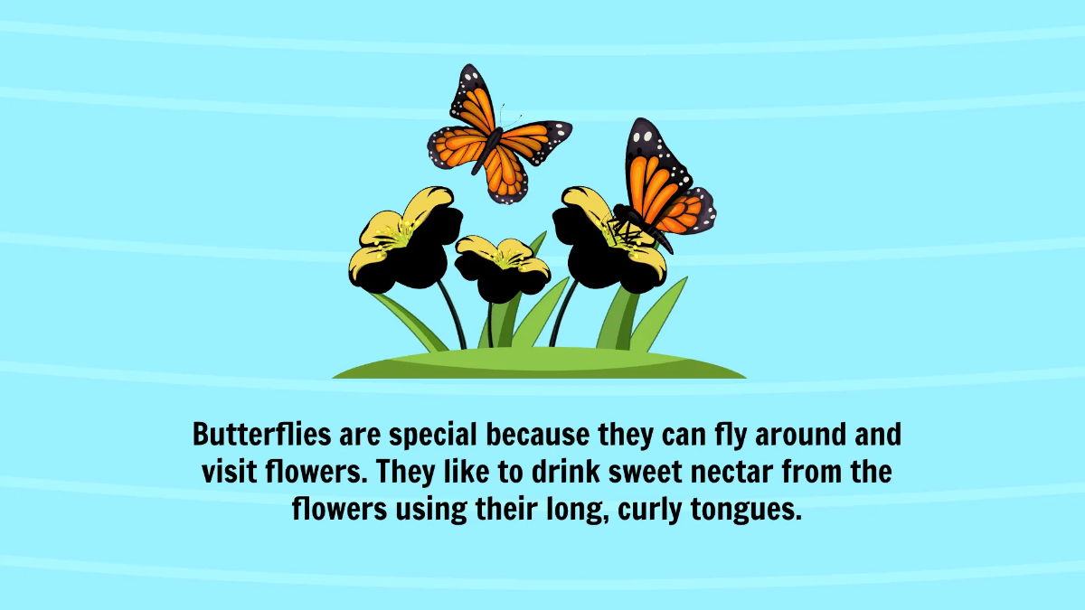 Free Life Cycle of A Butterfly Template to Edit Online