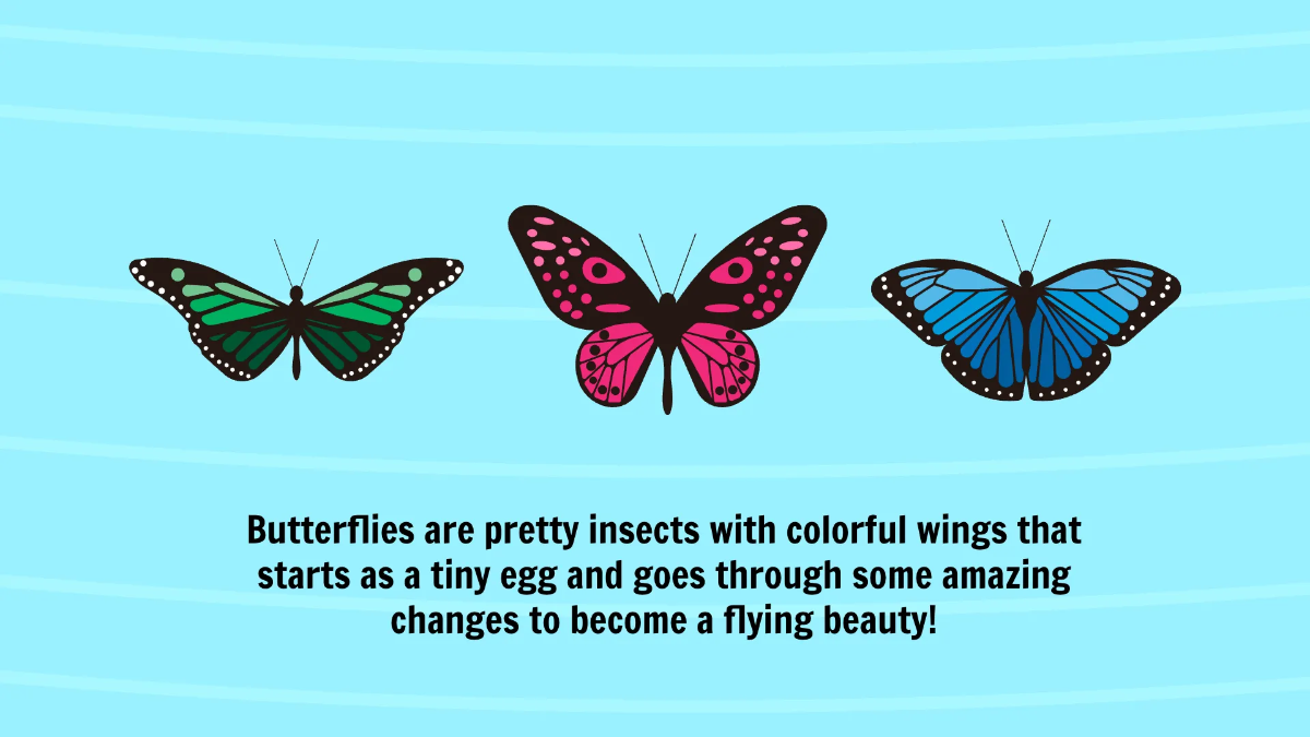 Free Life Cycle of A Butterfly Template to Edit Online