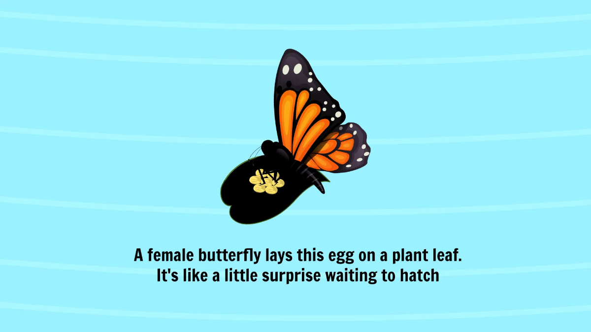 Free Life Cycle of A Butterfly Template to Edit Online