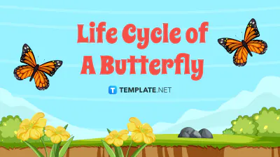 Free Life Cycle of A Butterfly Template to Edit Online