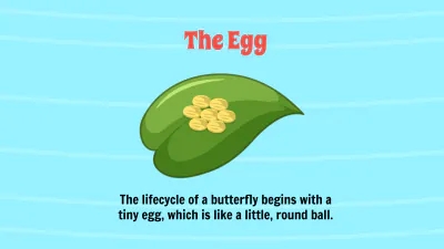 Free Life Cycle of A Butterfly Template to Edit Online